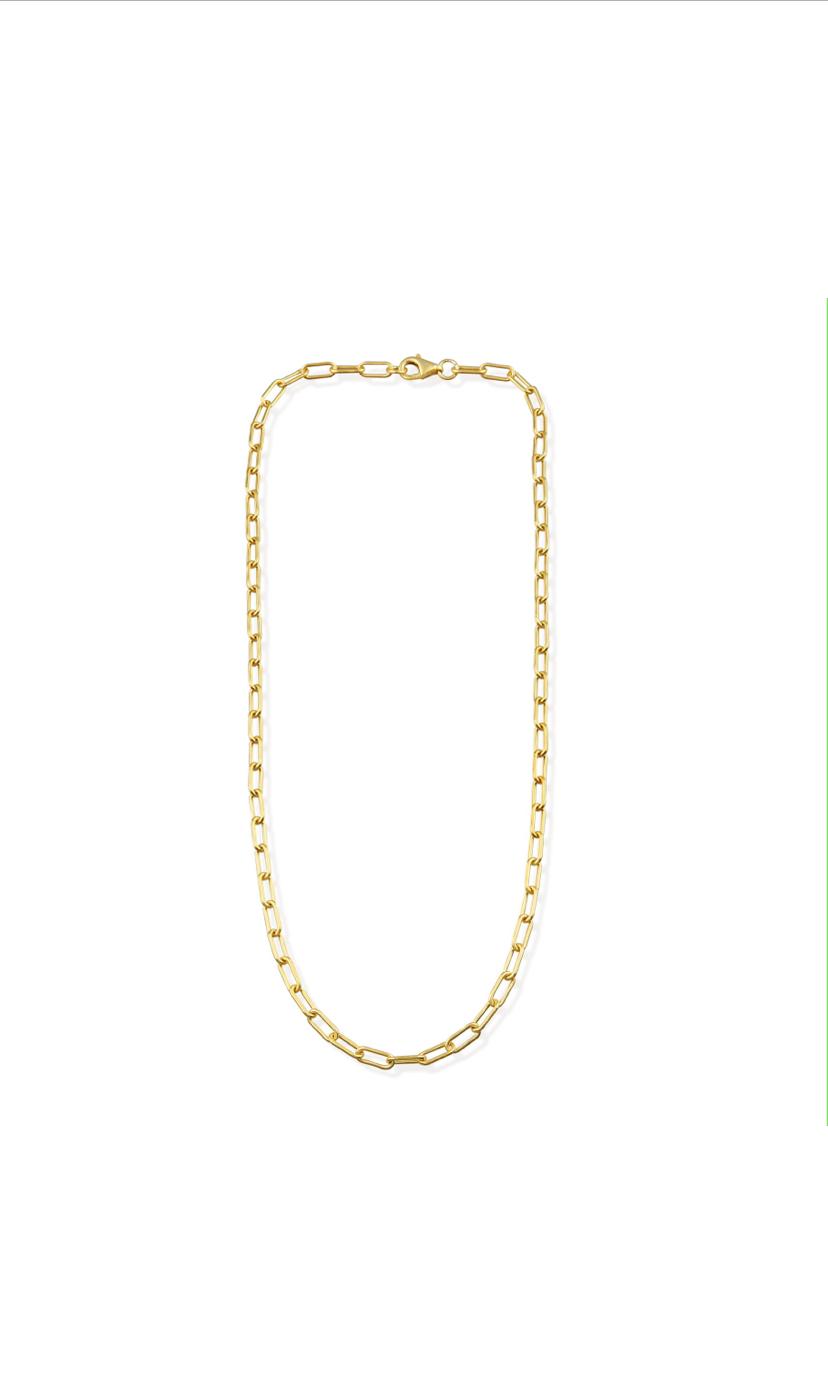 Charm Gold Chain